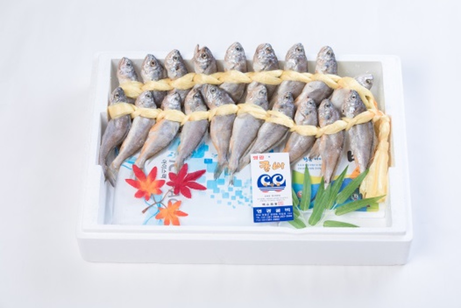 특2 40마리